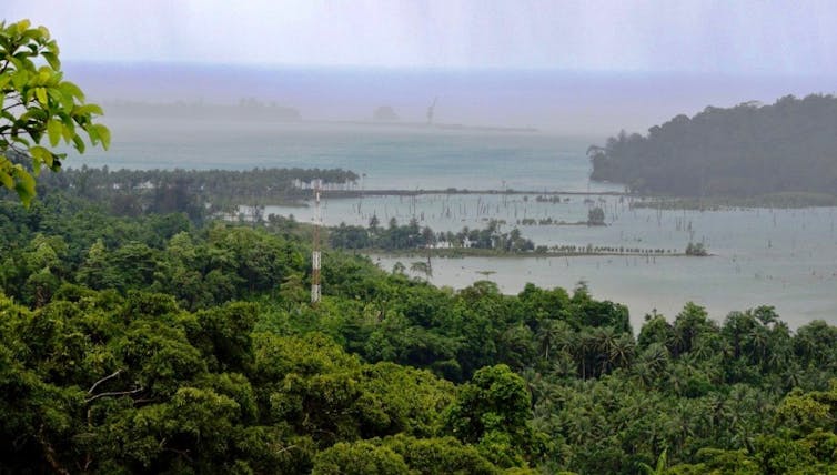 green-fringed bay