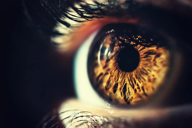 a close up of a brown-coloured eye eye