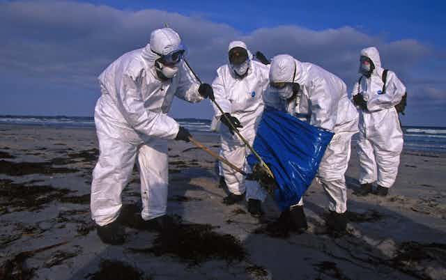 Epidemiologists in protective suits are collecting a dead bird