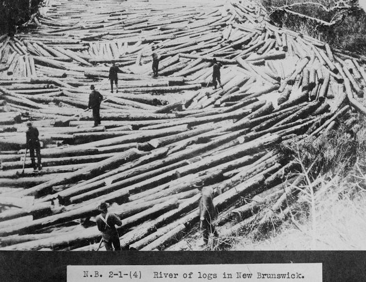 River teeming with logs