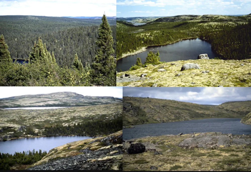 Global warming is changing Canada’s boreal forest and tundra
