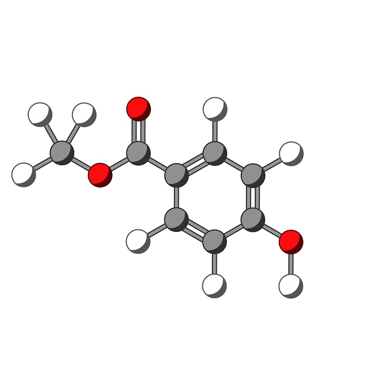 a cartoon style drawing of Methylparaben