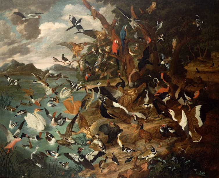A painting of many birds.