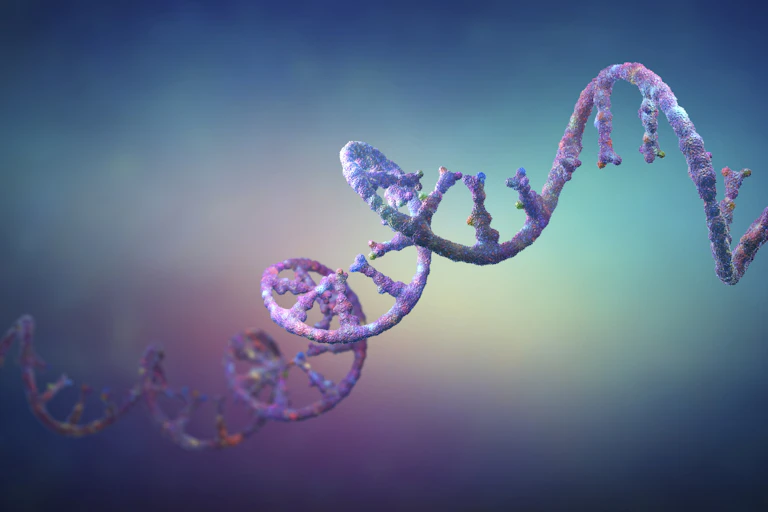 Illustration of close-up of RNA strand