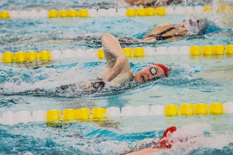 Swimmers in lanes in a pool.