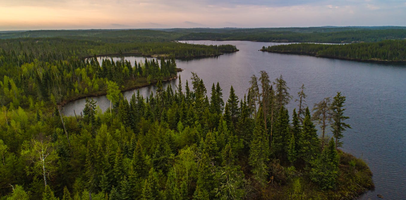 Global warming is changing Canada’s boreal forest andtundra
