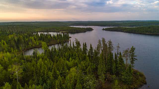 aerial photograph of a forest around a lake