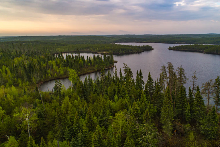aerial photograph of a forest around a lake