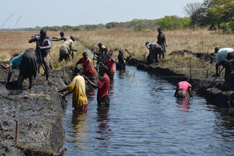Men and women digging a drain with some standing in a pool of water.
