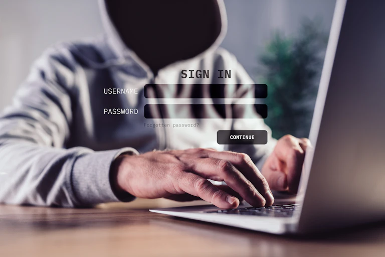Man in hoodie logs onto website