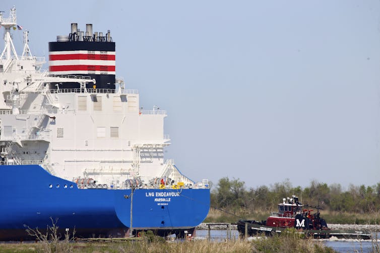 A tugboat leads a massive tanker through marshes.