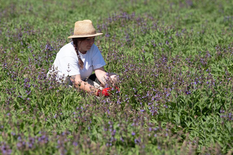 A woman in a sun hat and white t-shirt sitting in a field.