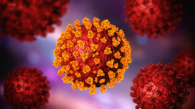 An illustration of SARS-CoV-2, the virus that causes COVID.