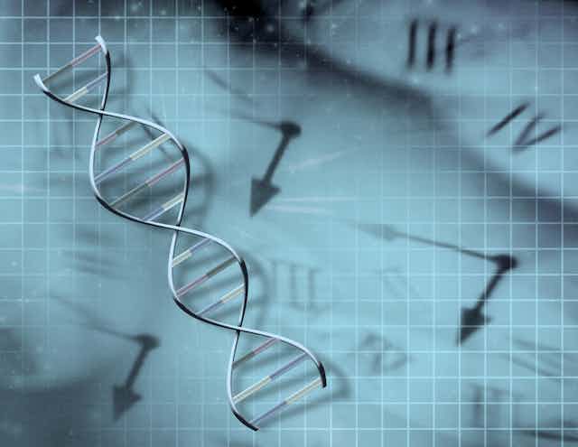 Illustration of DNA strand hovering over a blurry background of clocks 
