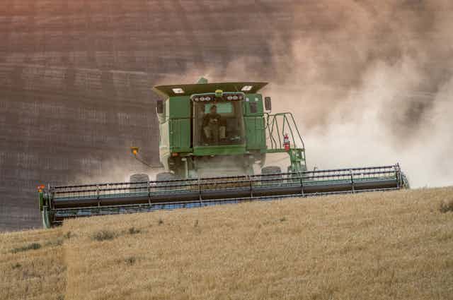 A large combine moves over a  hill, with an already cut field in the background. The farm can be seen in the cab.
