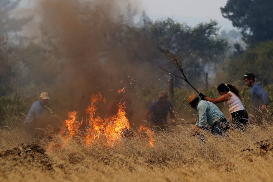 personnes se battent contre le feu dans un champ