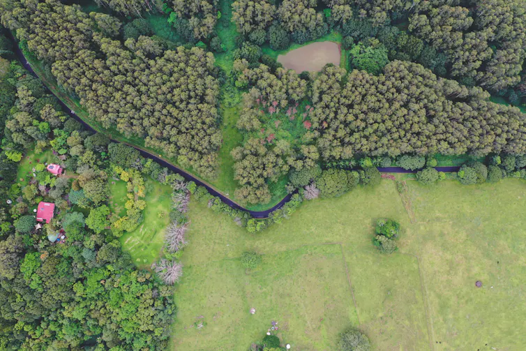 farm from above