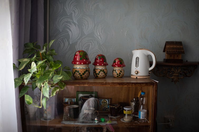 Framed photos and small decorations sit on a desk next to a houseplant.