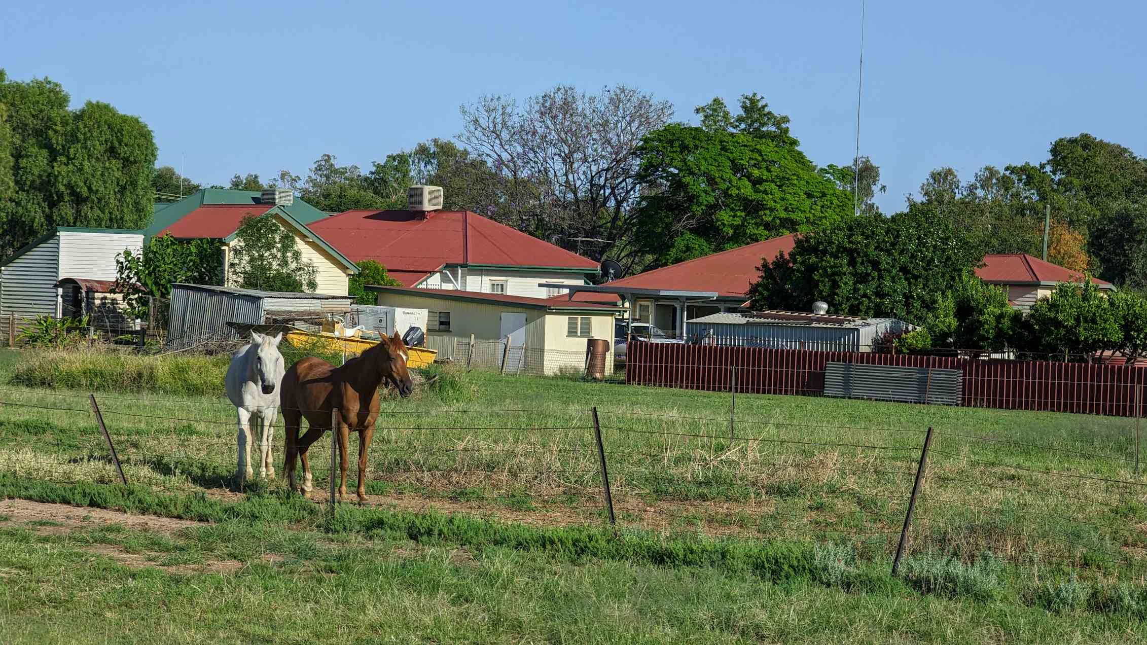 Why do small rural communities often shun newcomers,…