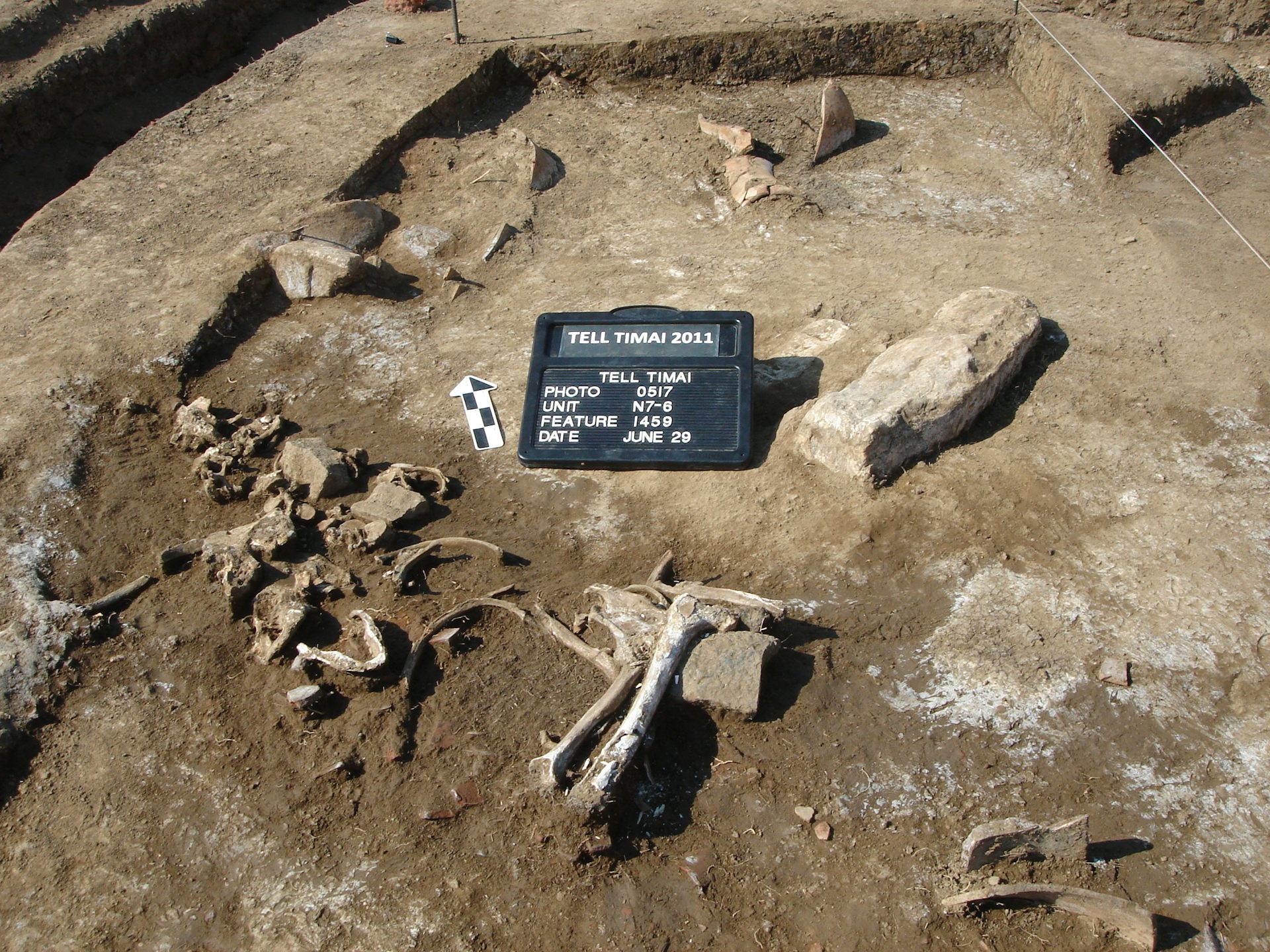 Human bones at a dig site in Egypt.