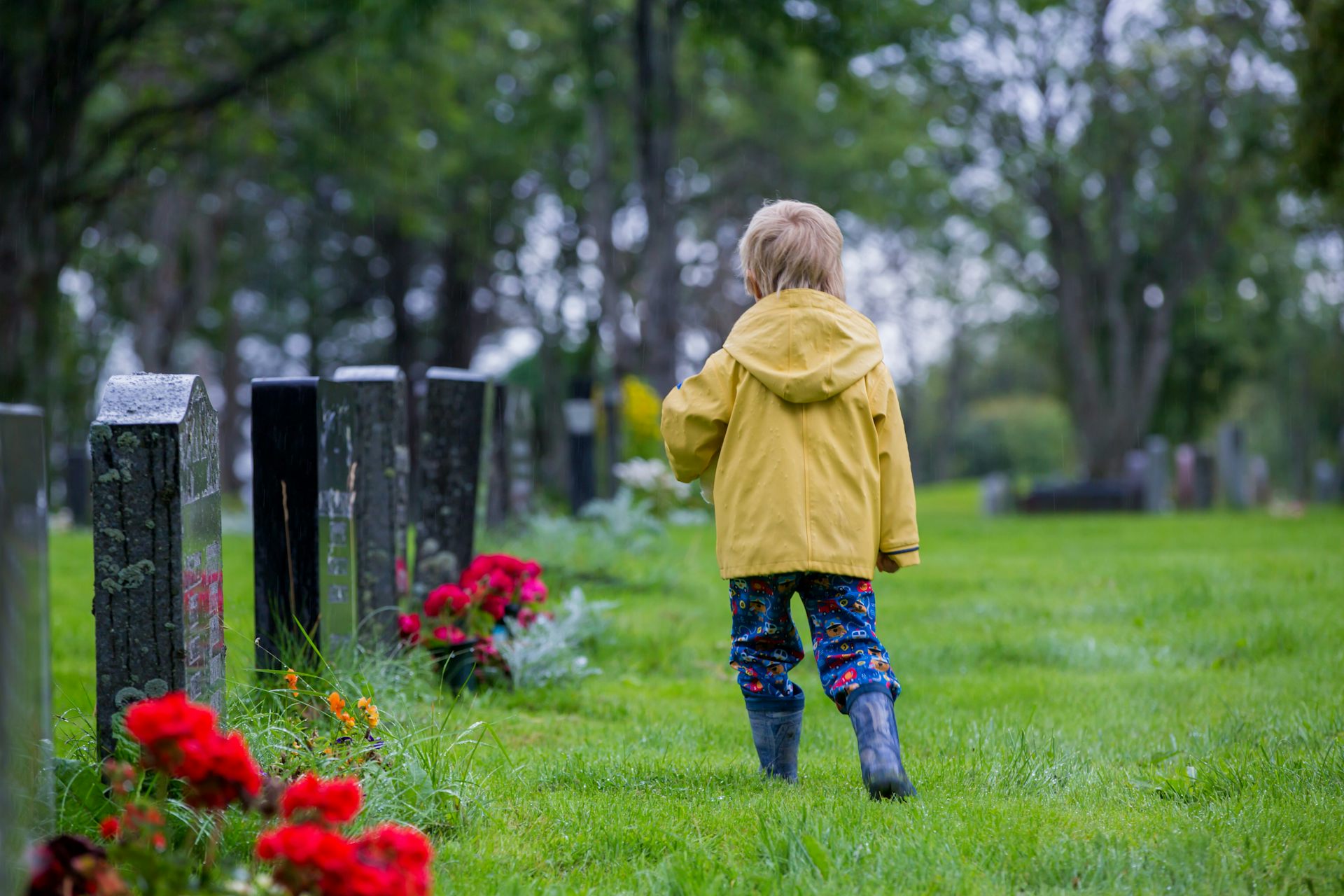 Photo d’un enfant de dos, marchant dans un cimetière
