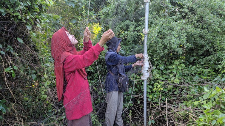 Faktor Penghambat Perempuan Pegiat Iklim