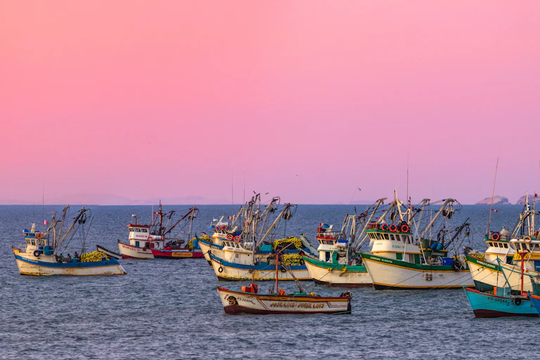 Fishing boats at sunset