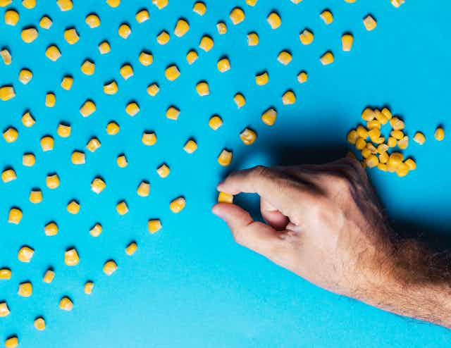 Man's hand arranging corn kernels in pattern