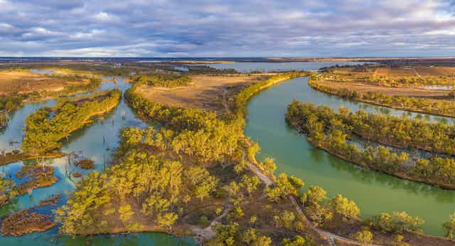 Aerial panorama of Murray River and Wachtels Lagoon among islands of gum trees at sunset. Riverland, South Australia