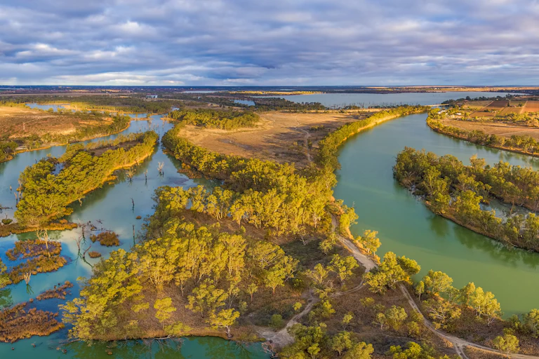 Aerial panorama of Murray River and Wachtels Lagoon among islands of gum trees at sunset. Riverland, South Australia