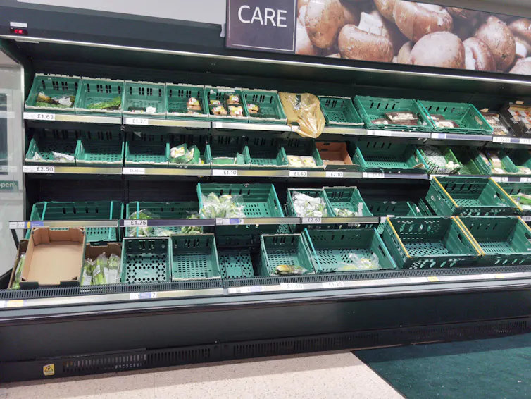 Empy supermarket produce bins and shelves.