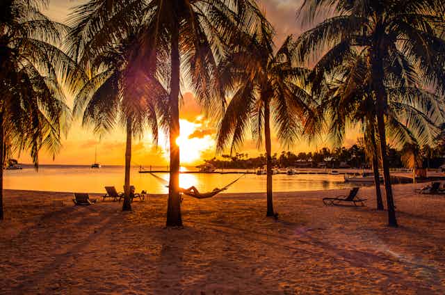 a person lies in a hammock connected to palm trees sit on a sandy beach in front of an ocean sunset