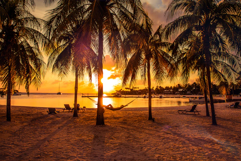a person lies in a hammock connected to palm trees sit on a sandy beach in front of an ocean sunset