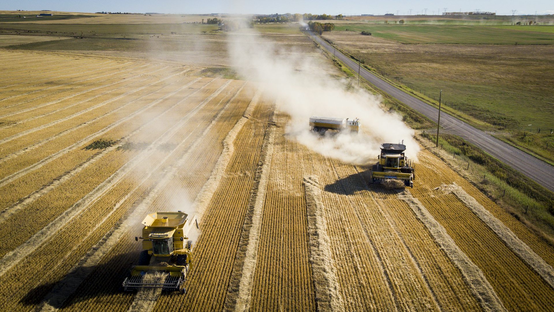 Overhead view of two tractors harvesting wheat in a huge field