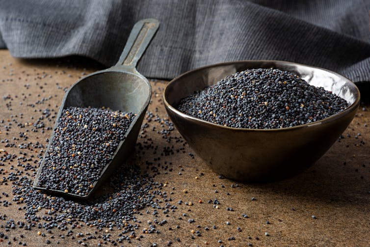 Bowl and scoop of poppy seeds