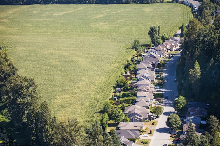 Houses and a farm next to some woods.