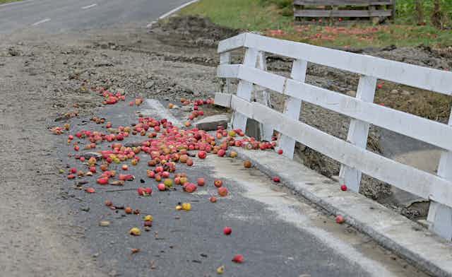 Apples left on the road as flood waters recede after Cyclone Gabrielle