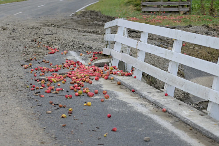 Apples left on the road as flood waters recede after Cyclone Gabrielle