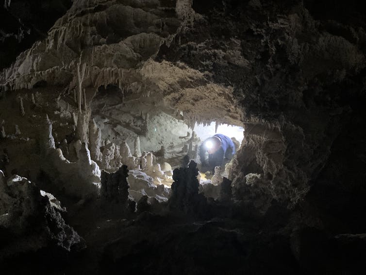 Exploring the depths of Mairs Cave, the place where the fossils were found.