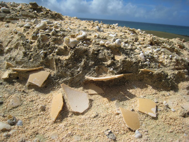 A beach littered with eggshell fragments partially buried in the sand.