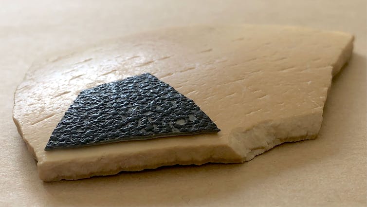 A very thick elephant bird eggshell fragment next to a very thin eggshell fragment that belongs to an emu.