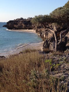 An idyllic beach of Madagascar's south-west coast bordered by limestone cliffs and spiny vegetation.