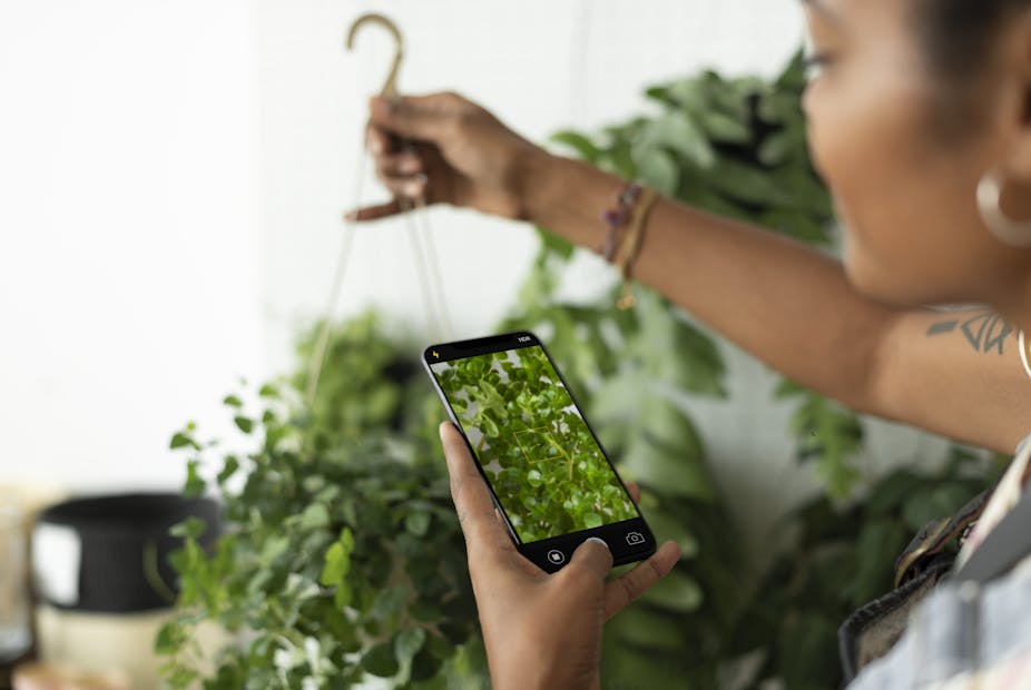 femme avec smartphone et plantes
