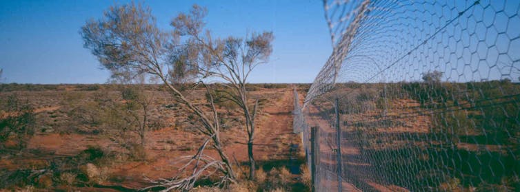 fenced haven