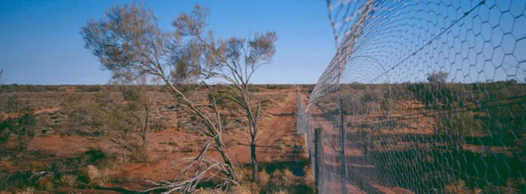 fenced haven