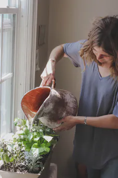 femme qui arrose un bac de plantes