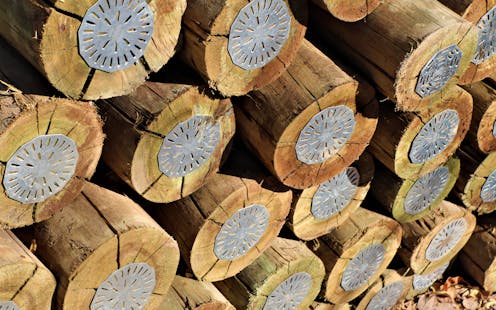 Despite restrictions elsewhere, NZ still uses a wood preservative linked to arsenic pollution