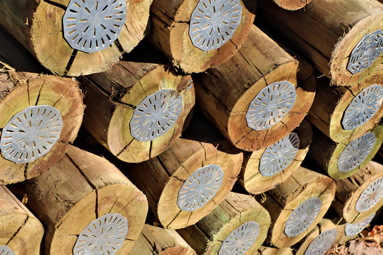 Timber logs