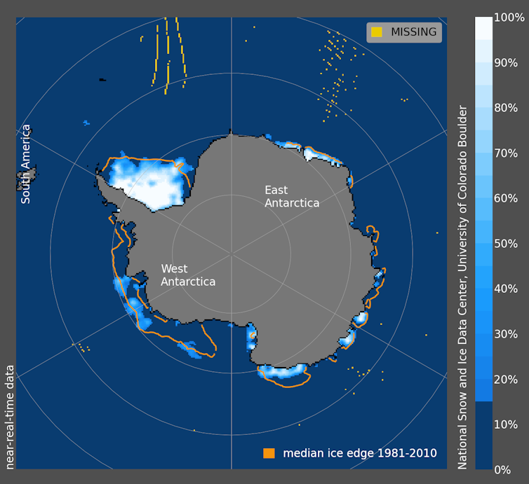 Imagen que representa la extensión del hielo marino antártico el 13 de febrero.