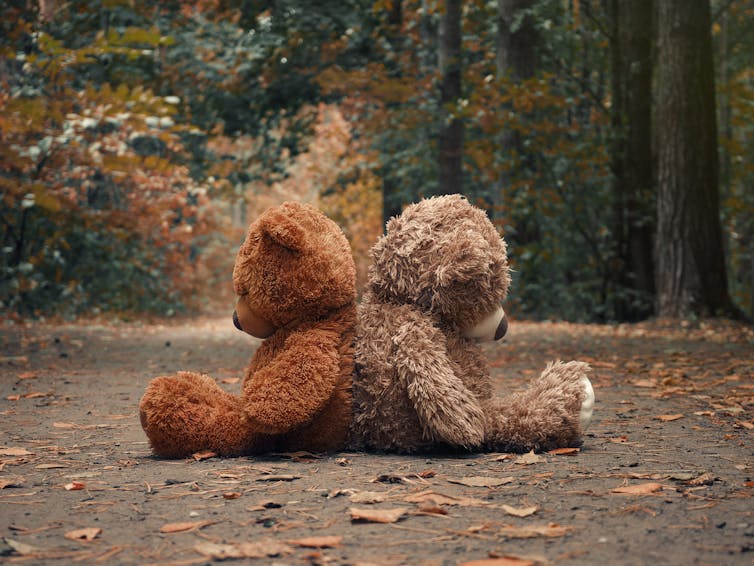 Teddy bears sit with their backs to each other.